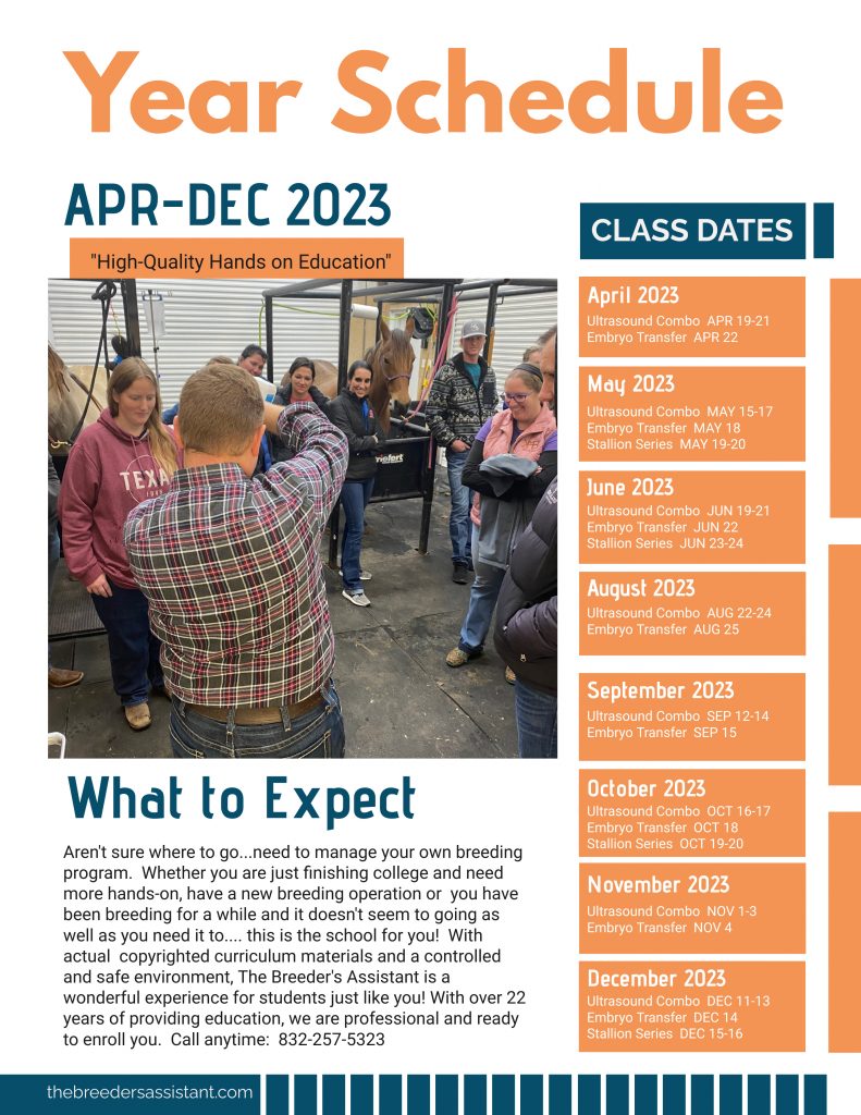Orange and blue flyer that presents the yearly class schedule for 2023. Call 832-257-5323 and Tina will read the schedule to you.