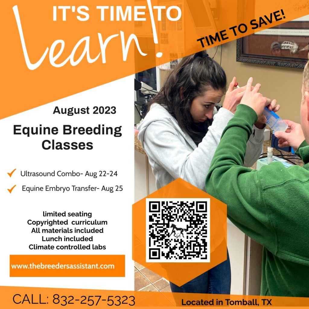 August Schedule for Equine Breeding Classes